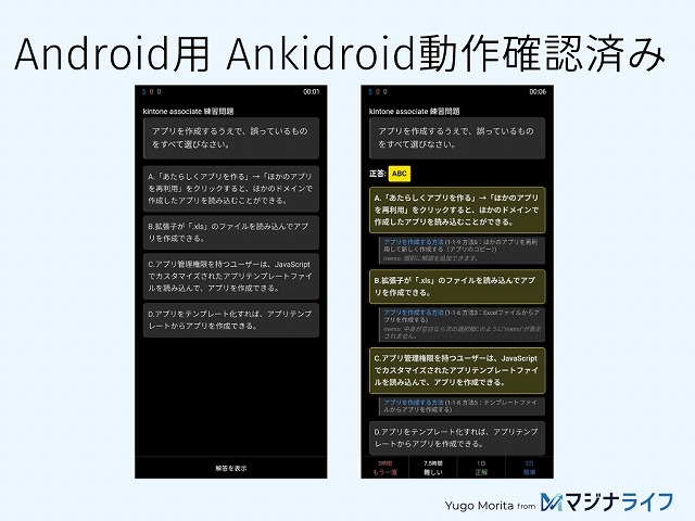 画像：サービスで提供するカードテンプレートのイメージ(AnkiDroid Android)